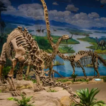 國家恐龍化石保護區