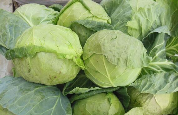 補腎蔬菜有哪些 10大補腎的最佳蔬菜類食物排行 