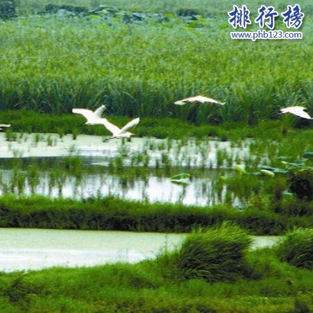 洪湖自然保護區