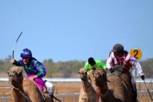 世界上最奇葩運動排行榜，駱駝也可以賽跑？