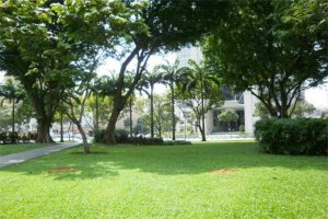 世界十大花園城市 新加坡無疑是第一，國內兩個上榜