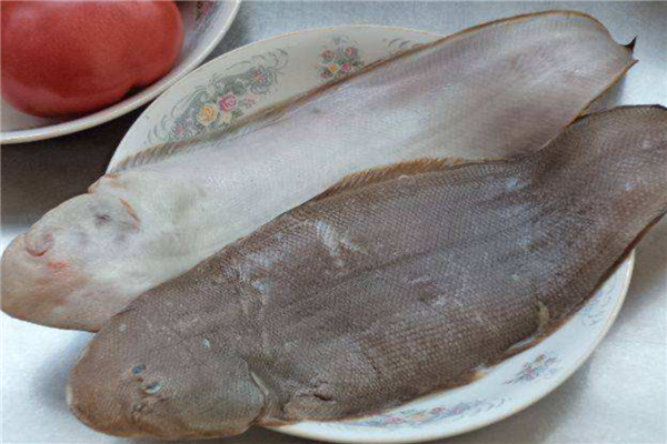 十大最好吃的海魚排行榜