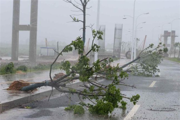 中國歷史上最強颱風排行：桑美上榜，第一使城市內部變海