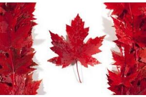 加拿大人口組成,英裔加拿大人達千萬(50個民族成分)