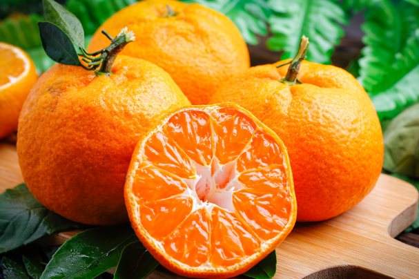 世界十大柑橘生產國：中國常年穩居第一，美國柑橘品種豐富