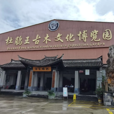 騰衝杜鵑王珍奇古木文化博覽園