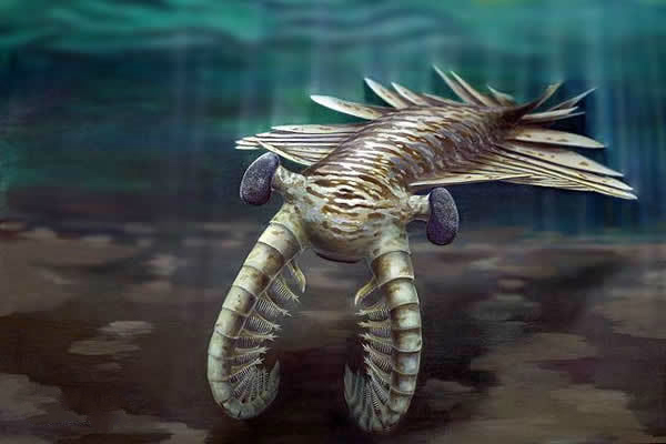 史前海洋三大霸主:這種巨獸居然是蜥蜴進化而來