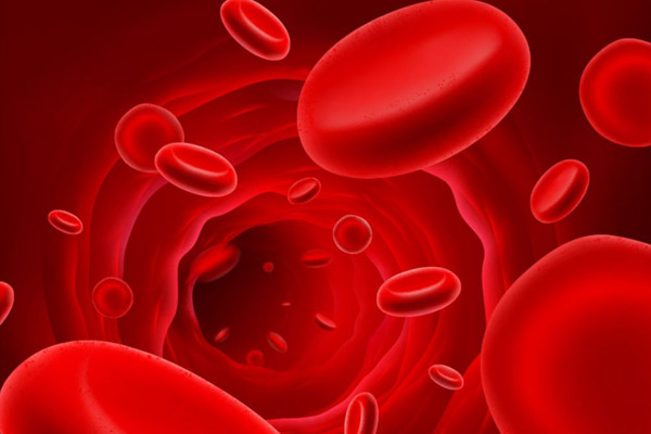 世界上最稀有的血型排名 MNSSU血型