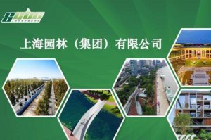 十大園林公司，上海園林排第一，第二在A股上市