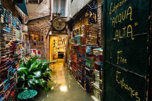 世界十大知名書店 北京的老書蟲上榜，第一在威尼斯