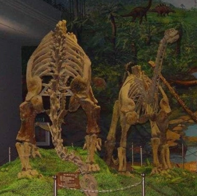 南雄恐龍博物館