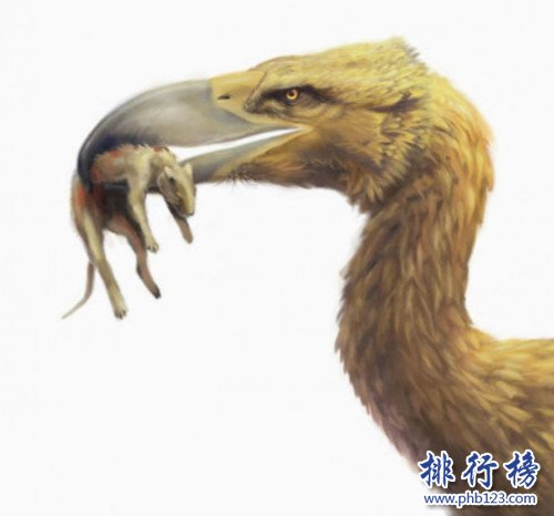 史前最危險的十大巨獸,駭鳥是種食肉型鳥類(也叫恐怖鳥)