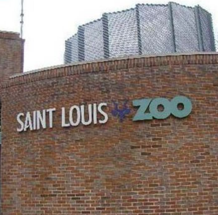 聖路易斯動物園