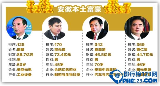 安徽富豪排行榜2014