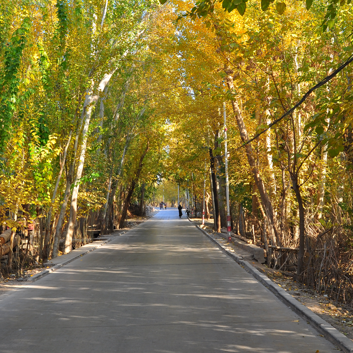 新疆夏天最美的地方排行榜