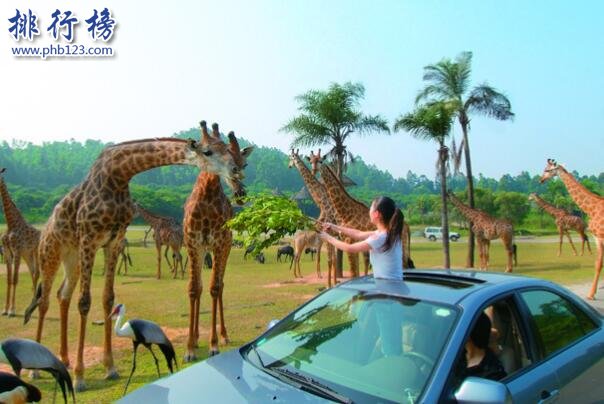 中國十大最受歡迎動物園排行榜