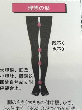 女人理想腿型