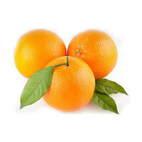 鮮橙十大品牌排行榜