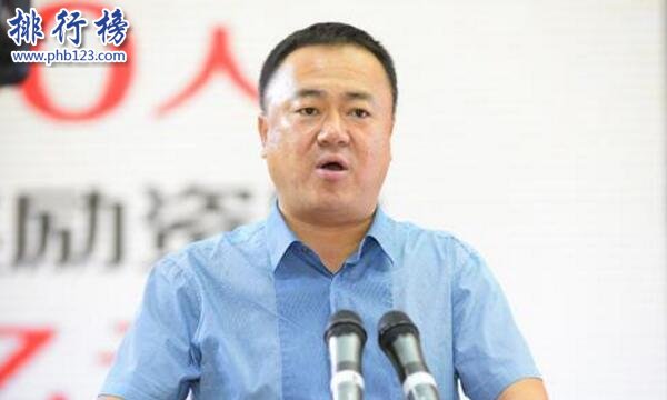 寧夏十大富豪排行榜2018:賈天將東菊鳳夫婦160億元居首