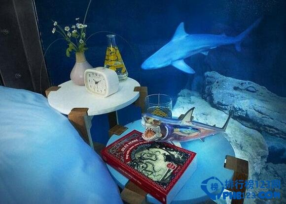 世界上最刺激的水下臥室：與鯊魚零距離同眠