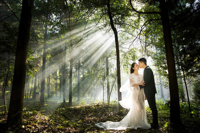 森林系婚紗照怎么拍