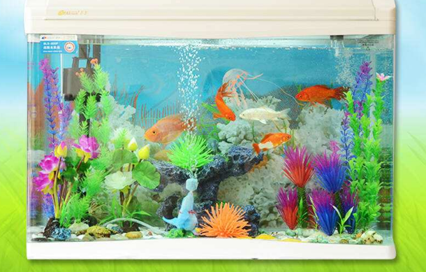 魚缸什麼牌子的好 中國十大魚缸品牌排名  