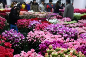 中國十大花木交易市場，花木之鄉排第五，第十歷史最久