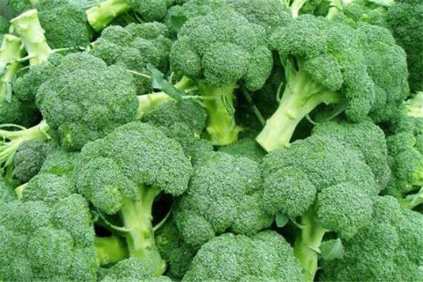 十大補鈣蔬菜排行榜 補鈣效果絕對不差，你一定要知道啊