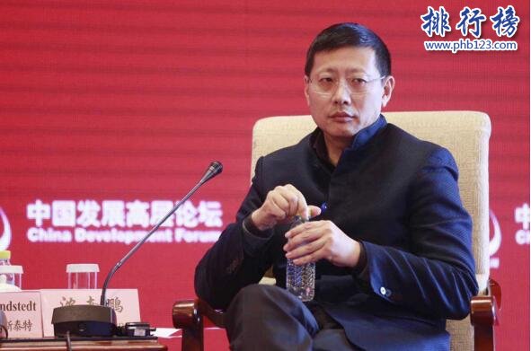 2017中國頂級投資人排行榜TOP50：沈南鵬登頂,熊曉鴿第二