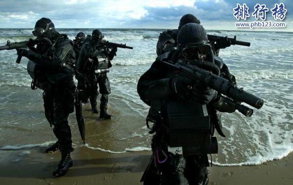 美國特種部隊排名 海豹突擊隊殺敵如同胎囊取物