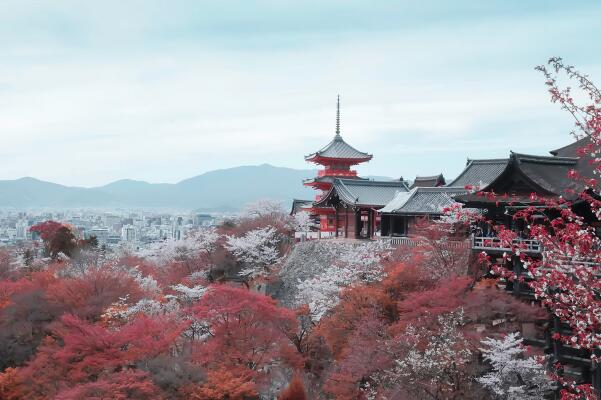 春天日本必去十大景點排名