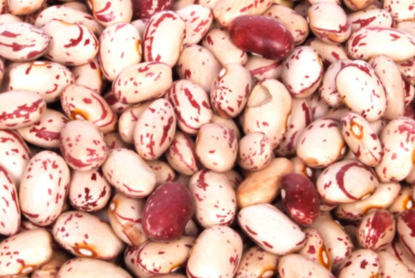 十大最受歡迎的養生豆類