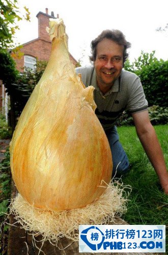 世界上最大的洋蔥