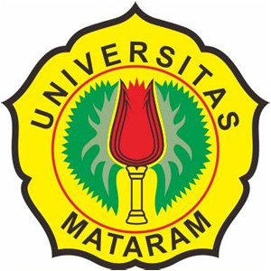 馬塔蘭大學