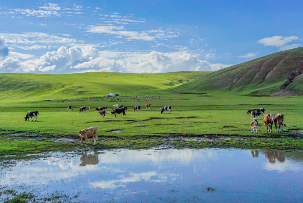 內蒙古秋季旅遊景點排行榜前十名