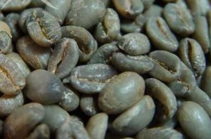 世界十大頂級咖啡豆，瑰夏咖啡上榜，第七是世界上最昂貴的咖啡