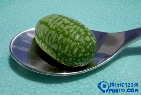 世界之最一個勺子能裝好幾個的最小西瓜