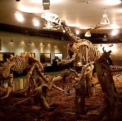 新西伯利亞國家地質博物館