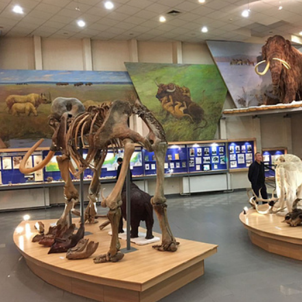 雅庫茨克猛獁象博物館