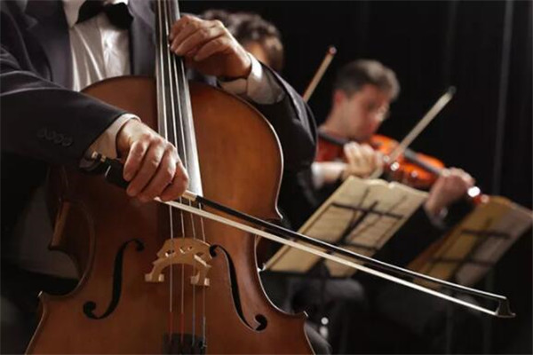 十種不適合學大提琴的人 瞻前顧後請考慮清楚
