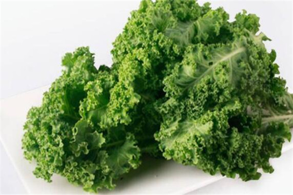 十大補鈣蔬菜排行榜 補鈣效果絕對不差，你一定要知道啊