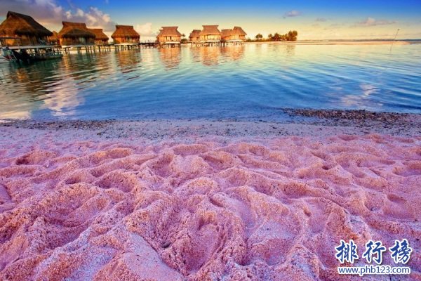 全球最有特色的沙灘排名：粉色沙灘魅力難擋(蜜月聖地)