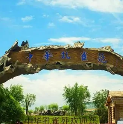 中華孔雀苑