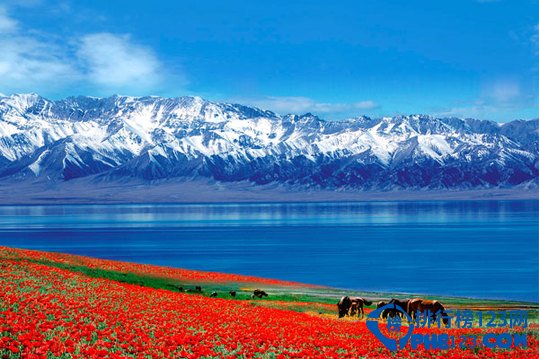 你不得不知的二十個美不勝收的新疆美景