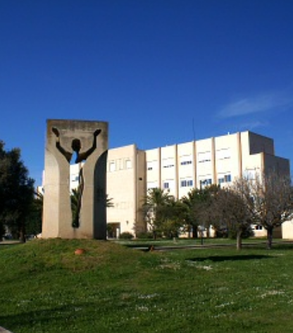 阿里爾大學