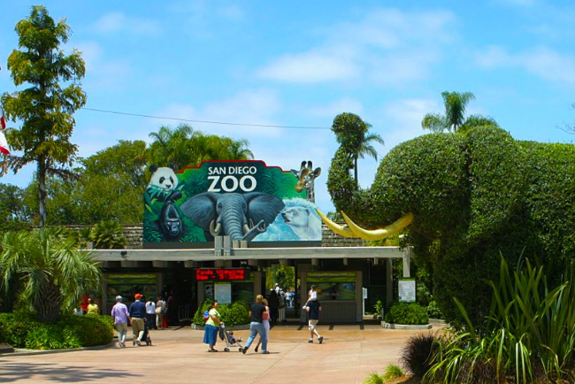 世界最大的動物園排名 第一名來自德國，北京動物園位列第四
