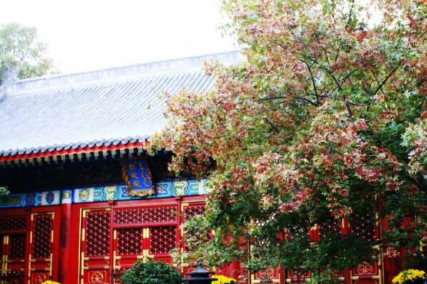 北京看楓葉的最佳地點排行榜