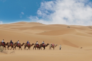 寧夏旅遊遊記-體驗大漠孤煙直意境