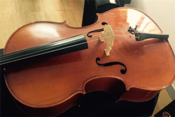 十種不適合學大提琴的人 瞻前顧後請考慮清楚