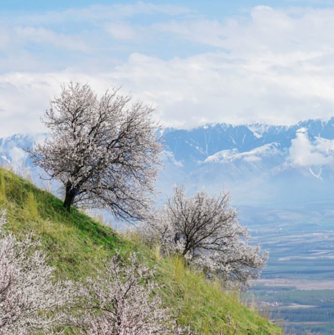 新疆春季適合旅遊的景點推薦排行榜